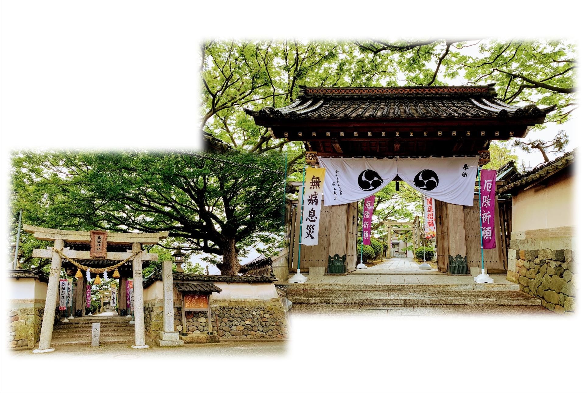 藤塚神社　神門と石垣　
